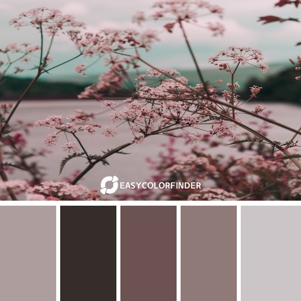 Color Palette 216 | Isolated Beauty