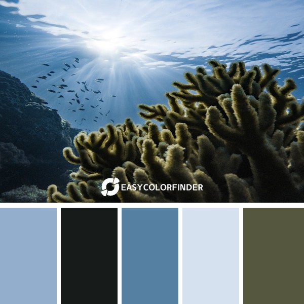 Color Palette 1279 | It has always been a dream to travel to Micronesia
