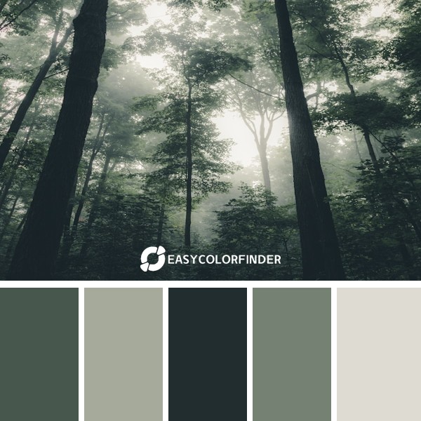 Its photos like these that give me a feeling that nature is alive communicating silently to us of stories long before man ...