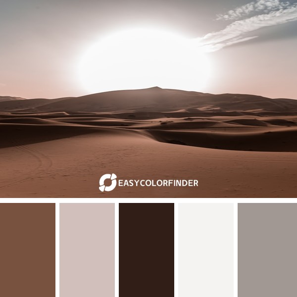 Le Roi Soleil