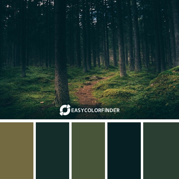 Color Palette 905 | Lost in the Wilderness