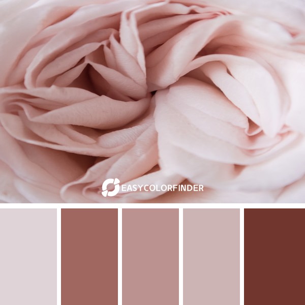 Color Palette 159 | New Zealand Autumn Pink Roses: Soft Textures Soothe Busy Minds