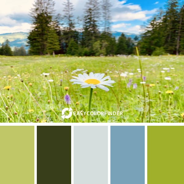 Color Palette 209 | Margarite