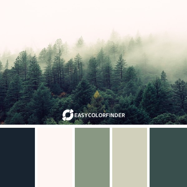 Color Palette 163 | Shrouded Forest Misty