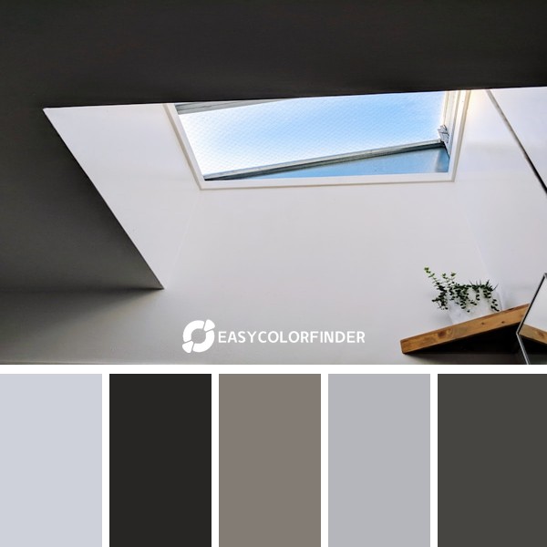 Morning Skylight