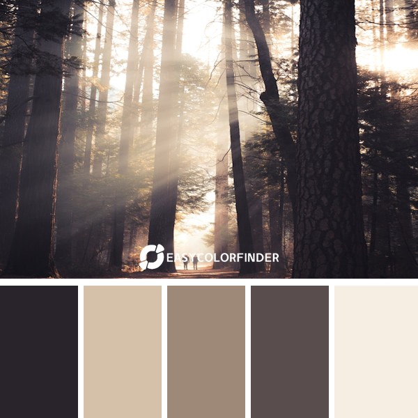 Color Palette 254 | Morning Mystic