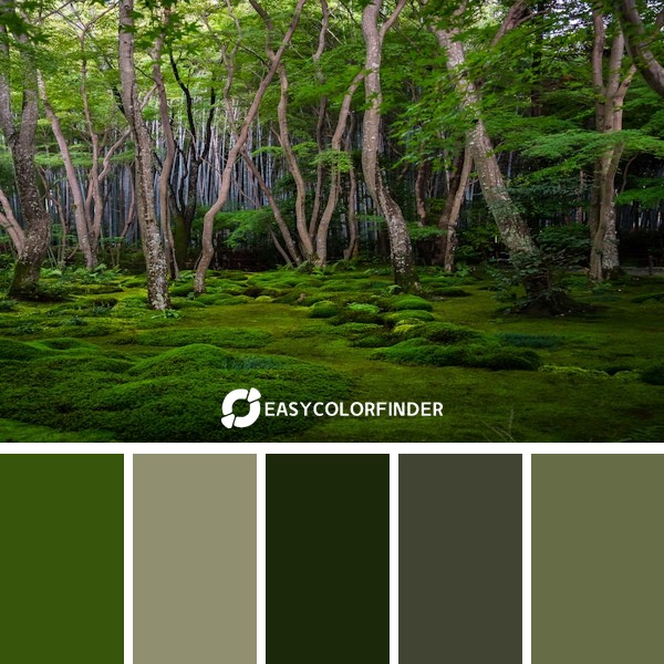 Color Palette 1818 | Moss garden Kyoto
