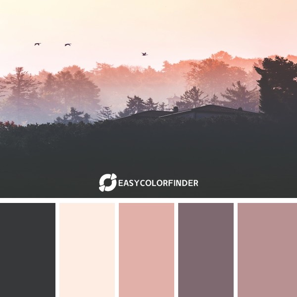 Mysterious gradient in the nature