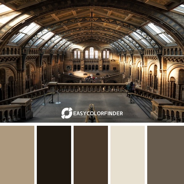 Color Palette 1155 | Natural History Museum London