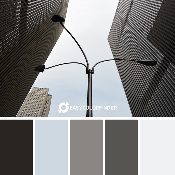 Color Palette 881 | No lights on