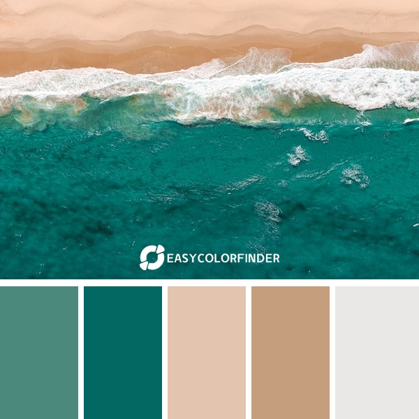 Color Palette 206 | Ocean