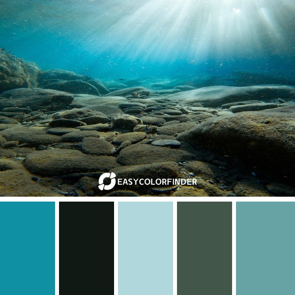 Ocean Floor