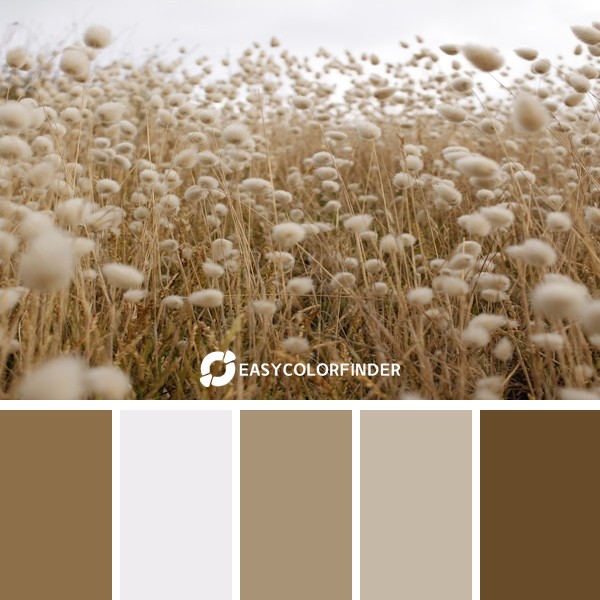 Color Palette 141 | Golden Hour Hillside Cottontails Camping Trip