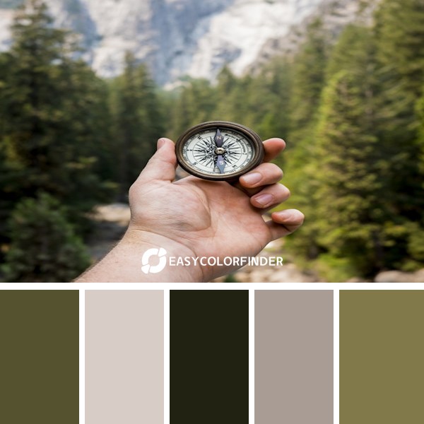 On my recent trip to California we decidto visit Yosemite National Park. After a 2 mile hike following a stream up a mount...