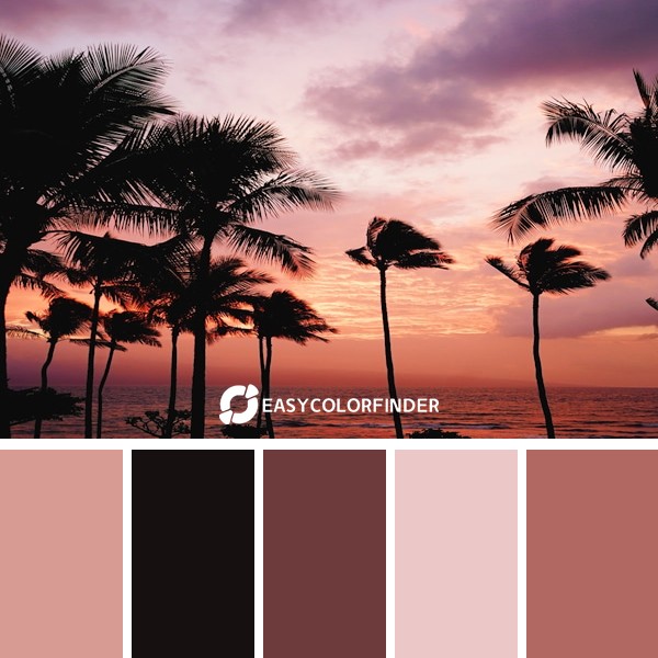 Color Palette 900 | Palm trees and the ocean