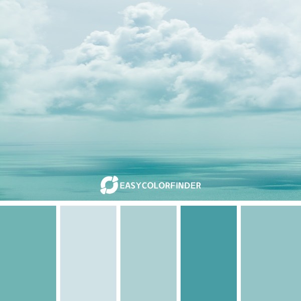 Color Palette 207 | Perfect Cloud