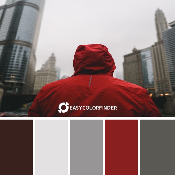 Color Palette 1192 | Pop of red in a sea of grey