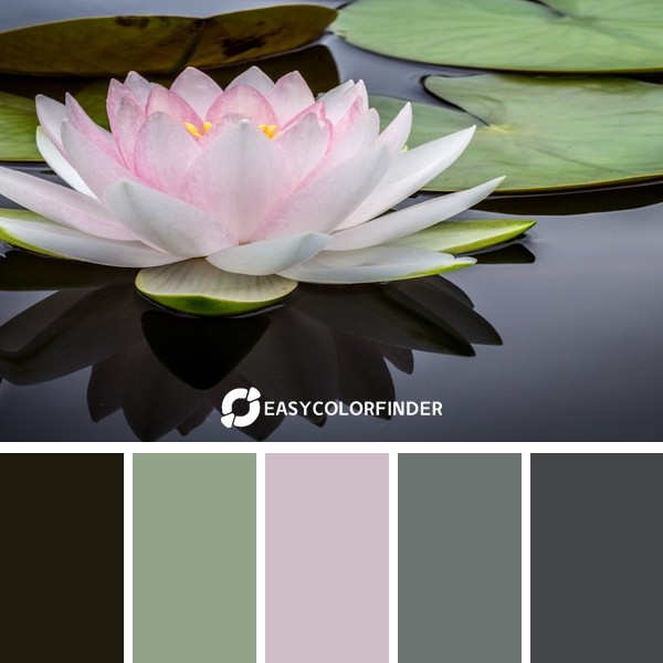 Color Palette 186 | Pristine Water Lily