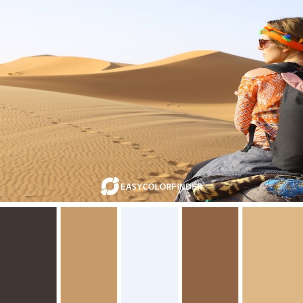 Color Palette 129 | Desert Ride: The Saharas Challenge