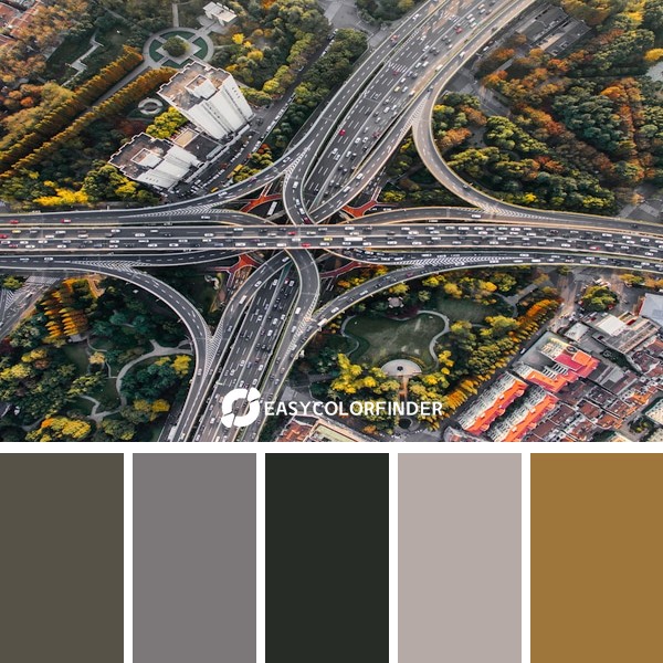 Shanghai interchange