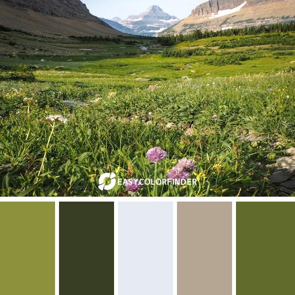 Siyeh Meadow