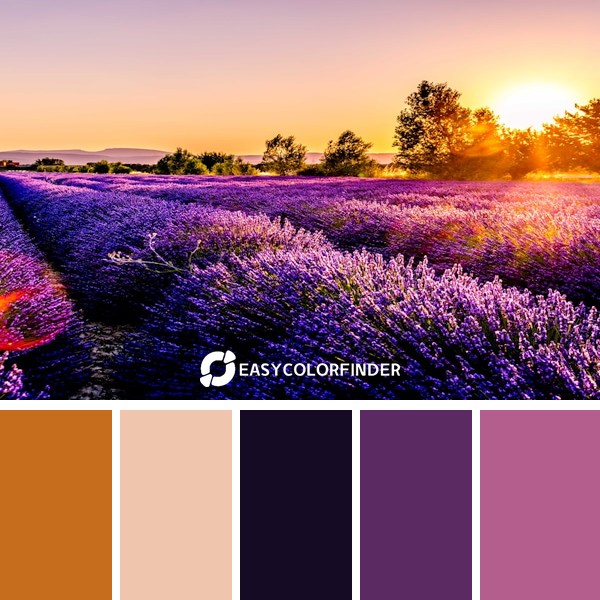 Color Palette 169 | Sunset Over Lavender Field