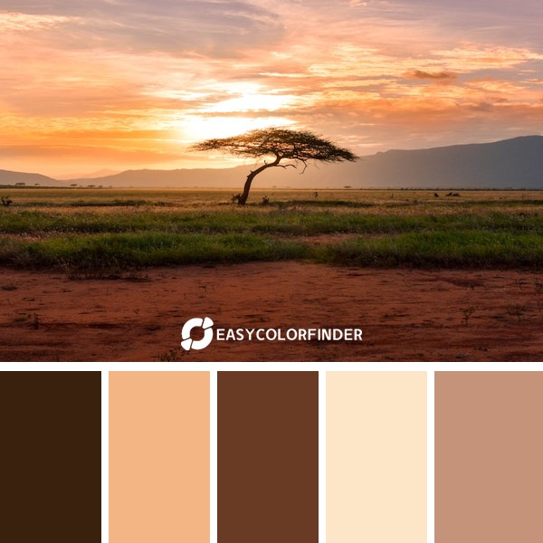 Color Palette 1154 | Sunset tree in Kenya Safari Africa