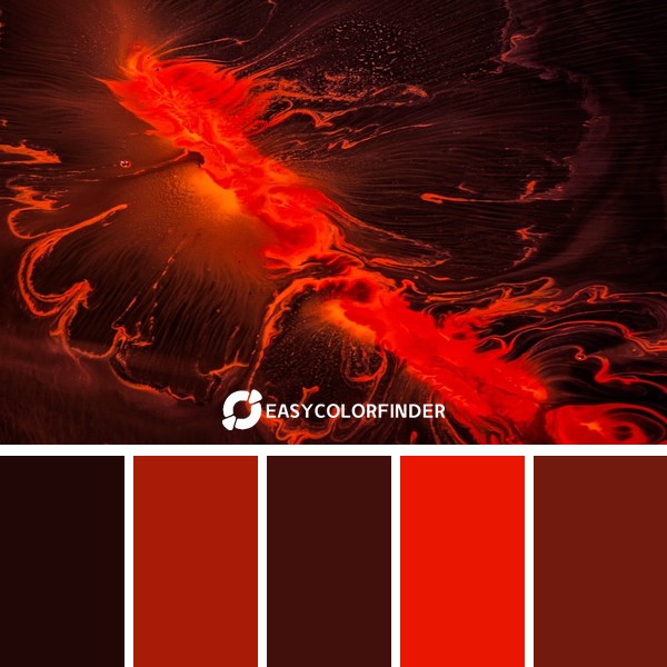 The Order of Caos VII