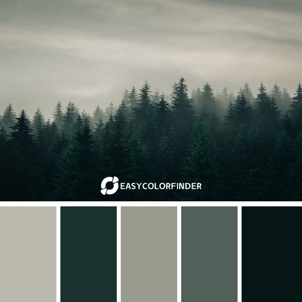 Color Palette 868 | The Silence
