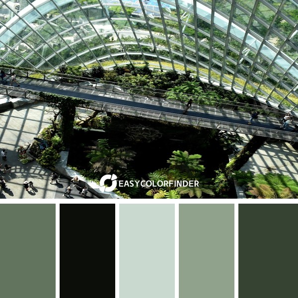 The World Inside Singapore