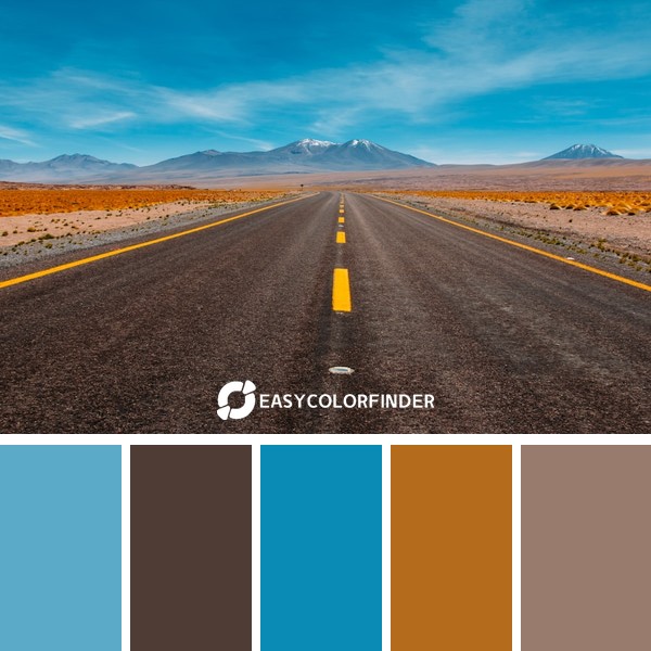 Color Palette 1156 | Blue & Brown
