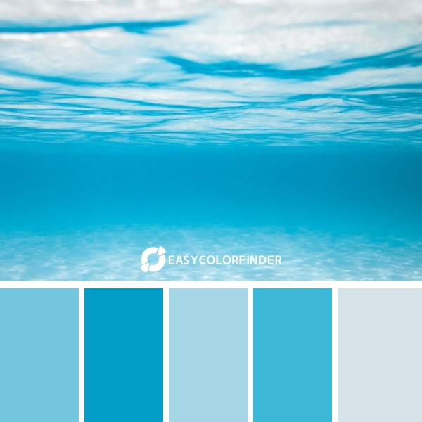 Color Palette 1388 | Underwater - Arrial do Cabo - Rio de Janeiro - Brasil