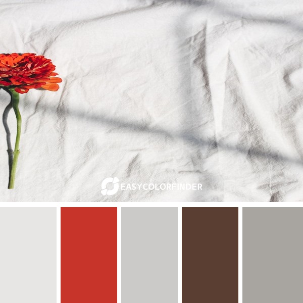 Using the natural light and shadows in my home I let these bright colorful floral do all the work to create this shot.