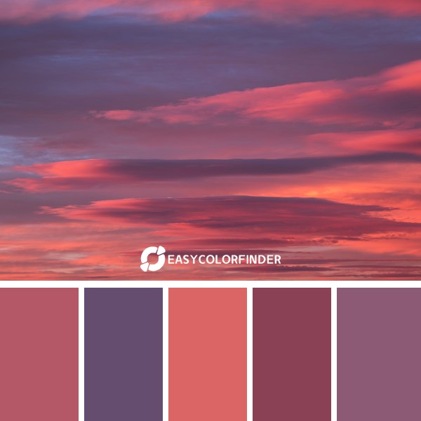Vivid sunset