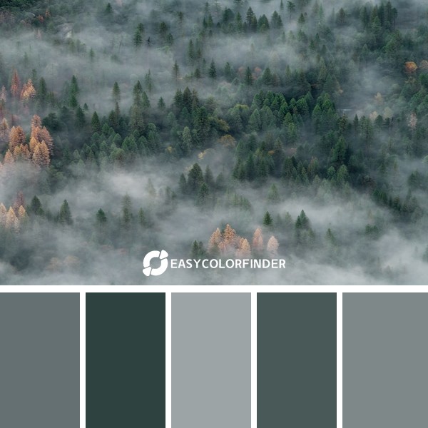 We were looking to capture a foggy sunrise view of Half-Dome in Yosemite but the weather wasnt cooperating with us. The fo...