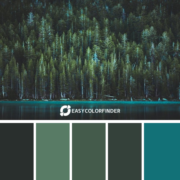 Where the wild things are