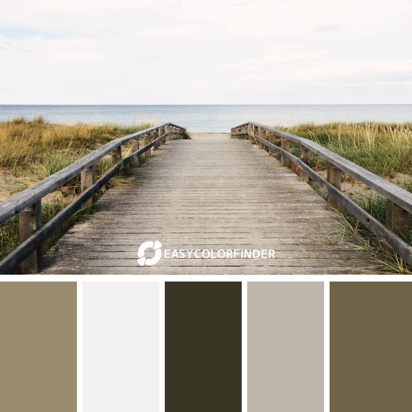 Wooden walkway to the ocean