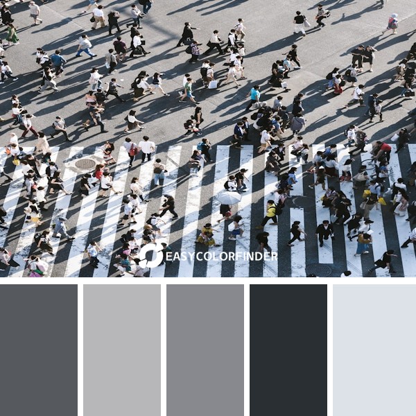 Color Palette 1292 | about 3000 people across the shibuya crossing at a time