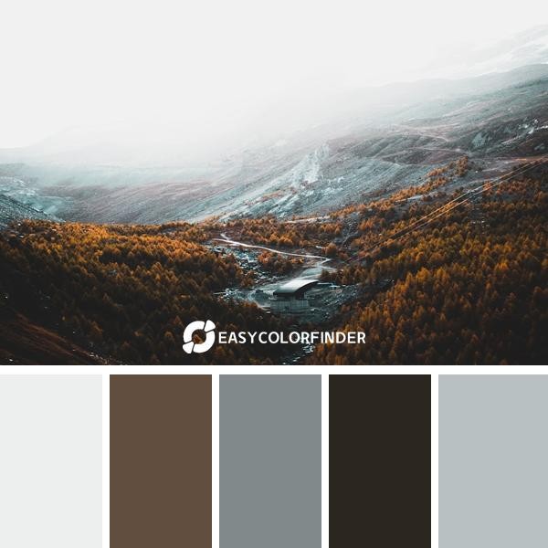aerial photography of brown trees and mountains under white clouds