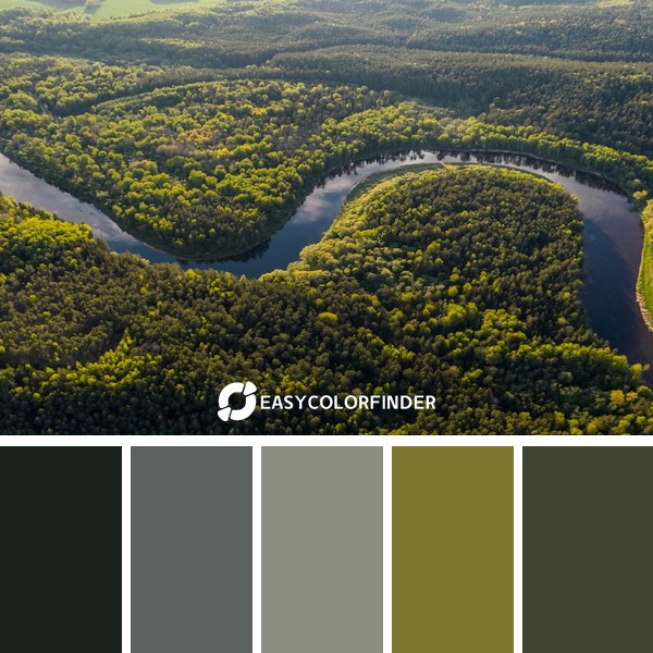 Color Palette 1274 | aerial view of green trees and river during daytime