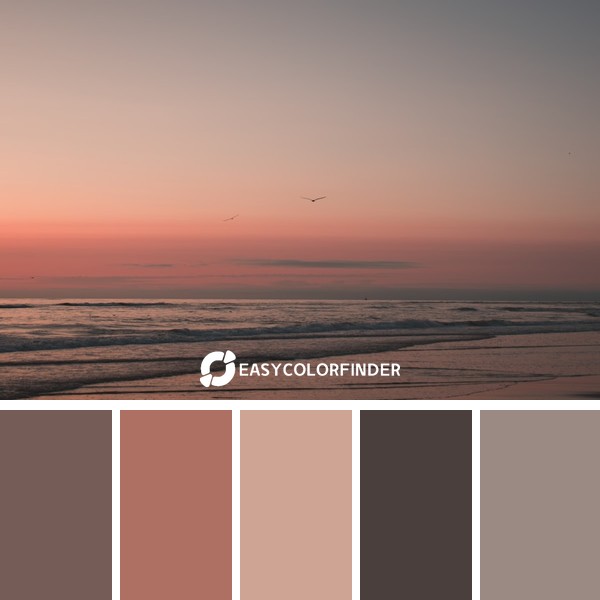 bird flying over the sea during sunset