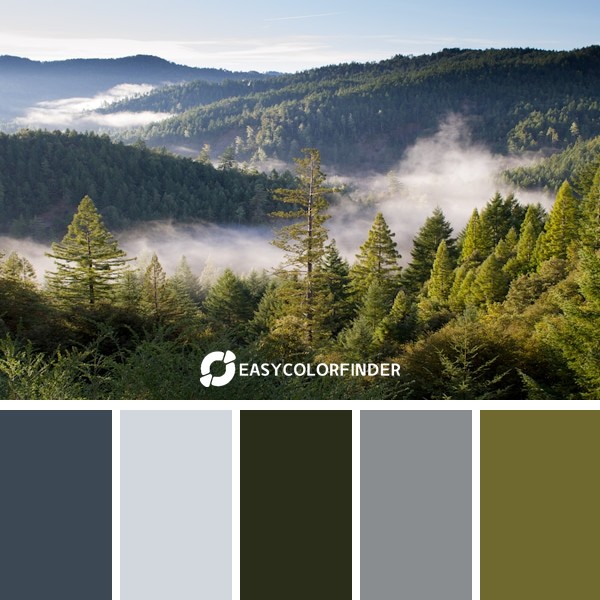 Color Palette 903 | birds eye photo of forest and mountains