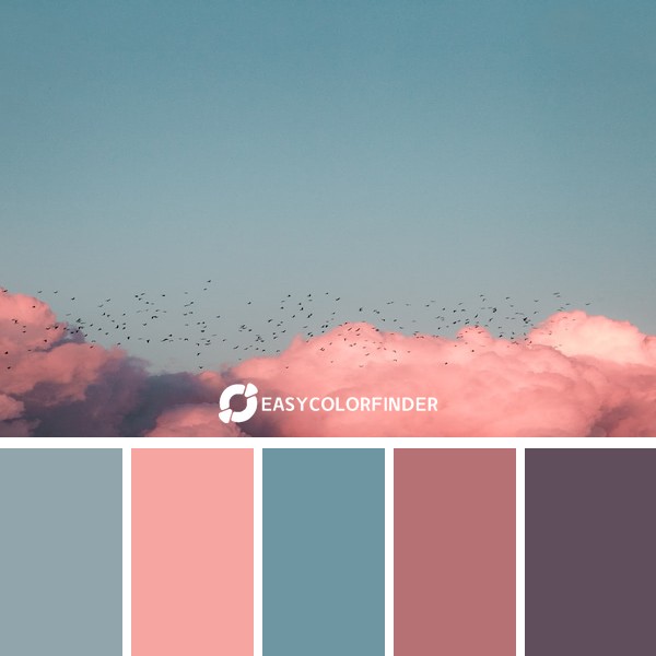 Color Palette 876 | birds flying near clouds