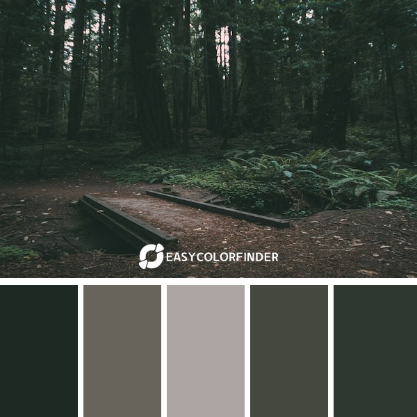 black metal bridge near trees