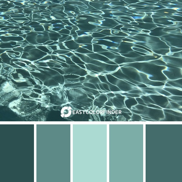 body of water during daytime