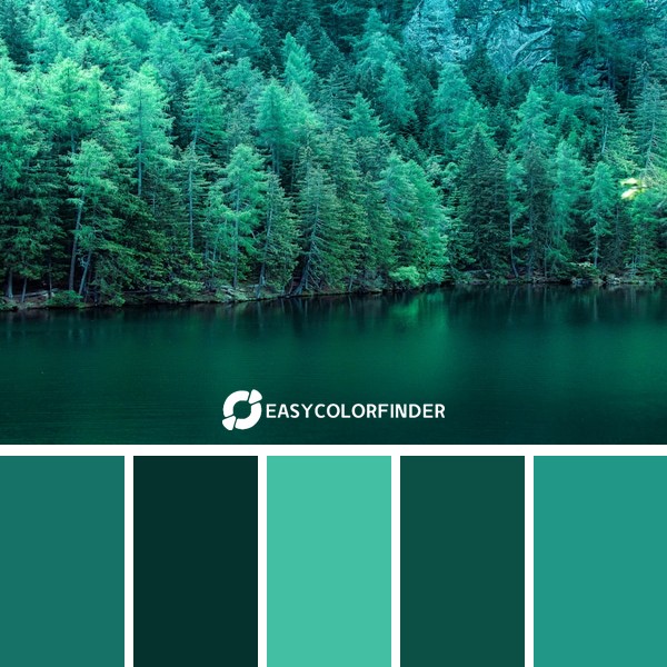 body of water surround by pine trees