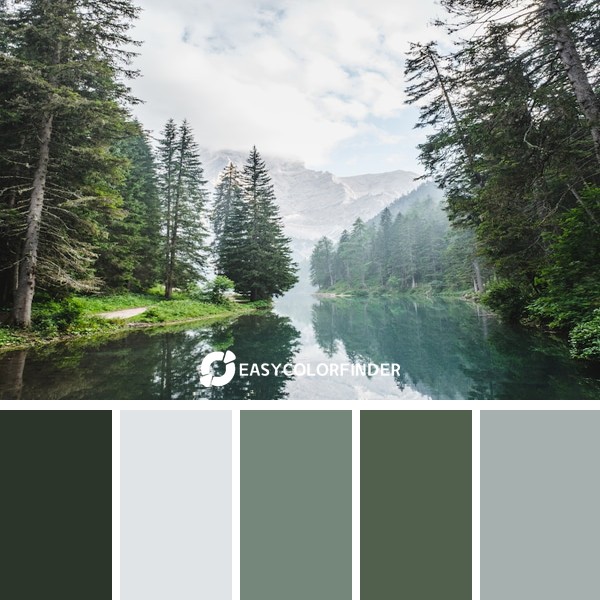 Color Palette 1276 | body of water surroundby pine trees during daytime