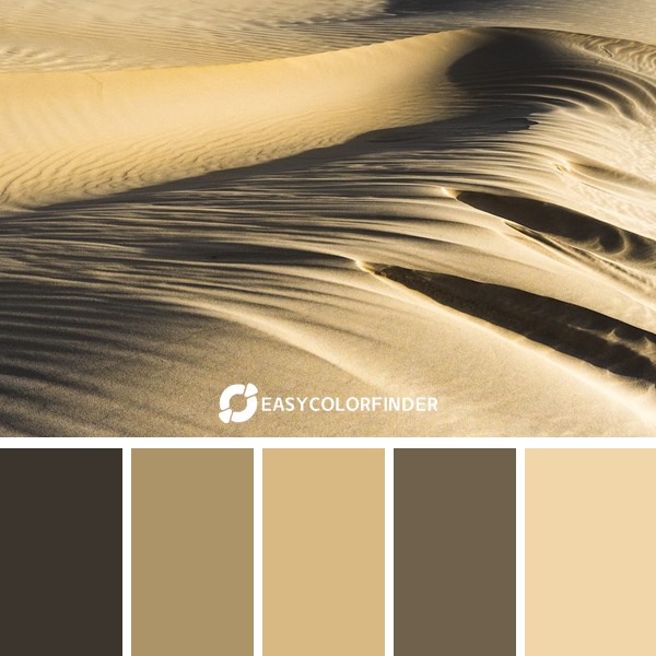 Color Palette 113 | Brown Dessert During Daytime