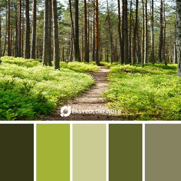 brown dirt road between green grass and trees during daytime