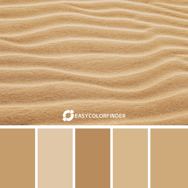 Color Palette 235 | Brown Sand Shadow